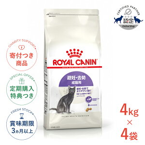 yLINEǉ500~OFFIzy4ZbgzCJi XeACYh 4kg / DE Lp 12ȏ / FHN L hCt[h Wbp[L #w-164083-00-00