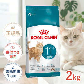 【LINE追加で500円OFF|お買い物が保護犬猫支援】ロイヤルカナン エイジング 11+ 11歳以上の高齢猫用 2kg FHN 猫 3182550959636 #w-172311-00-00