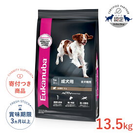 【LINE追加で500円OFF！】[ユーカヌバ]Eukanuba アダルト ラム＆ライス 13.5kg / ドッグフード ドライフード 成犬用 犬 食物アレルギー対応 3182550909792 #w-162092-00-00