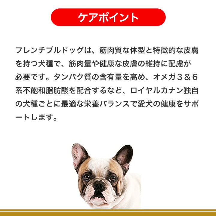 楽天市場】【お得な4個セット】ロイヤルカナン フレンチブルドッグ 成 