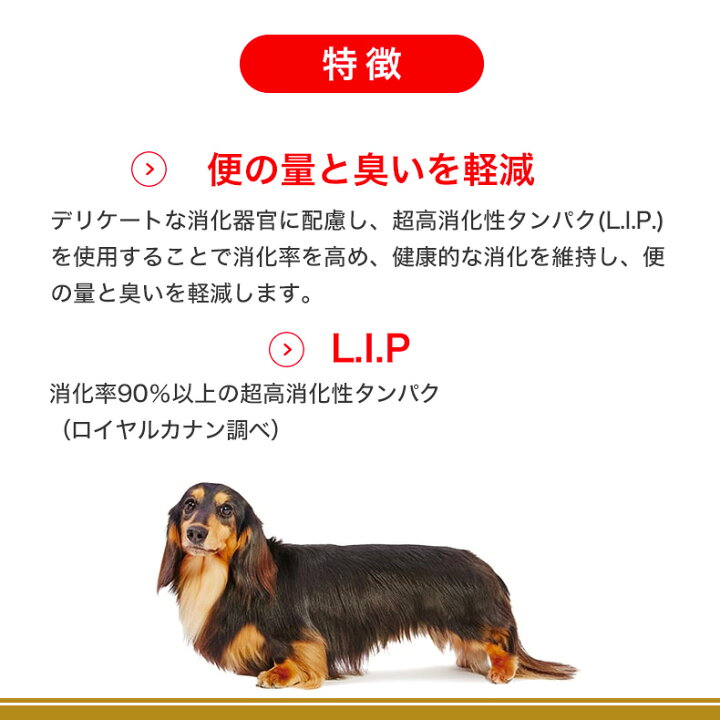 楽天市場】ロイヤルカナン ダックスフンド 成犬用 7.5kg / ダックス 
