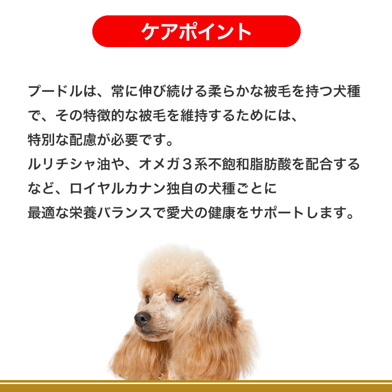 楽天市場】【あす楽】ロイヤルカナン プードル 成犬用 7.5kg