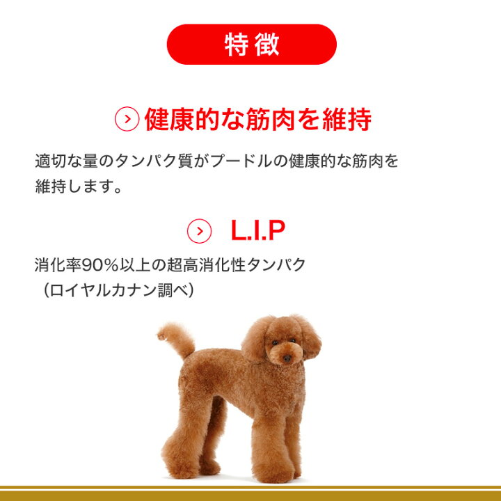 楽天市場】【LINE登録で500円クーポン！】【お得な2個セット】ロイヤル 