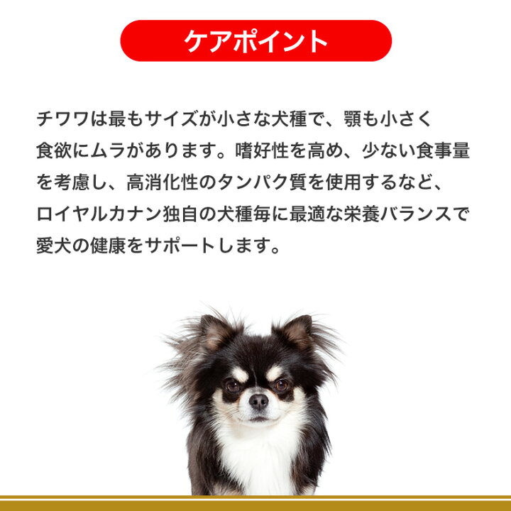 楽天市場】ロイヤルカナン チワワ 成犬用 3kg / チワワ 成犬用（生後8 