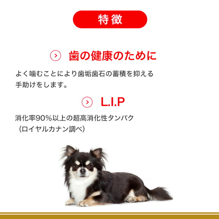 楽天市場】[最大250円クーポン有※要取得]ロイヤルカナン チワワ 成犬用 