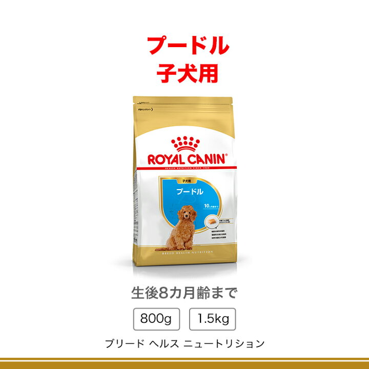 楽天市場】[10/25限定！抽選で100%P還元！購入点数でチャンスUP！※要 