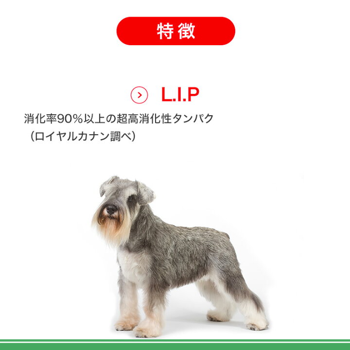 楽天市場】ロイヤルカナン ミニ インドア シニア 3.5kg / 室内で生活 
