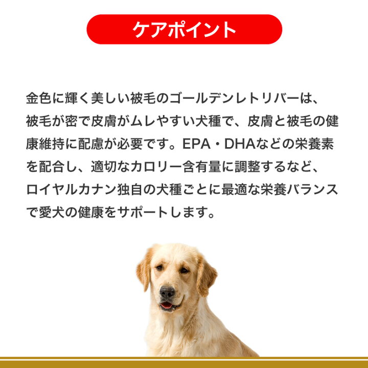 楽天市場】【LINE登録で500円クーポン！】【お得な2個セット】ロイヤル 