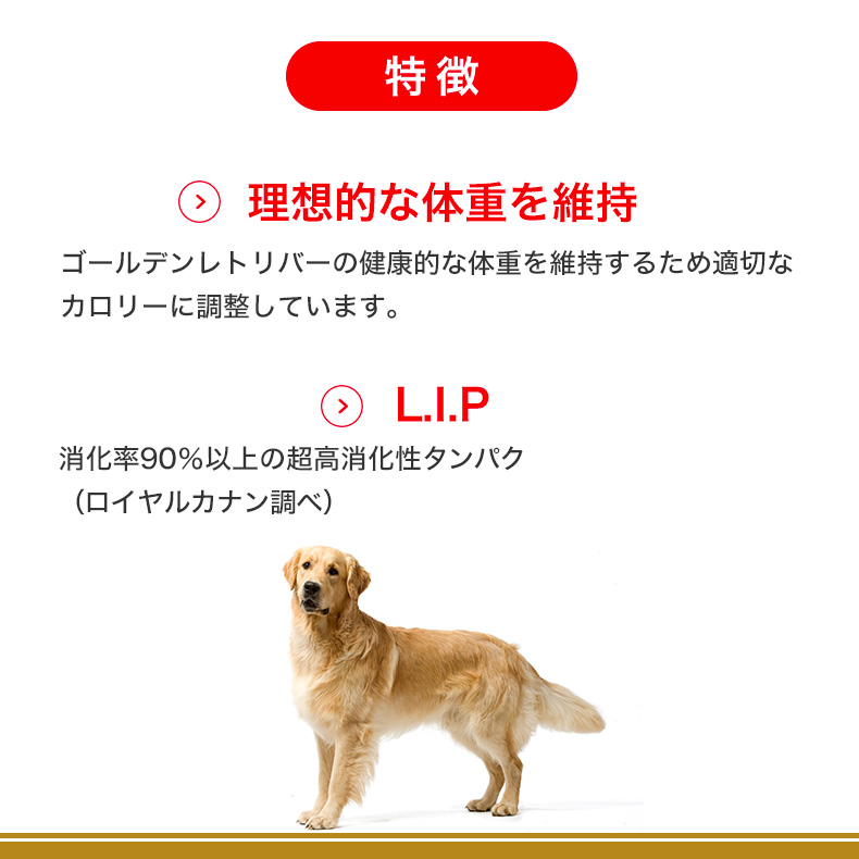 ロイヤルカナン ゴールデンレトリバー 成犬〜高齢犬用 12kg ゴールデン 