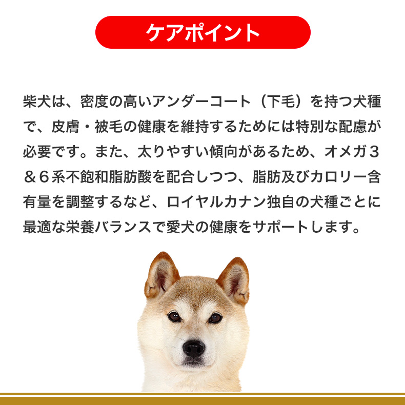 楽天市場】ロイヤルカナン 柴犬 成犬用 8kg / 柴犬 成犬用（生後10ヵ月