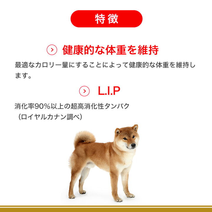 楽天市場】【LINE登録で500円クーポン！】【お得な2個セット】ロイヤル 