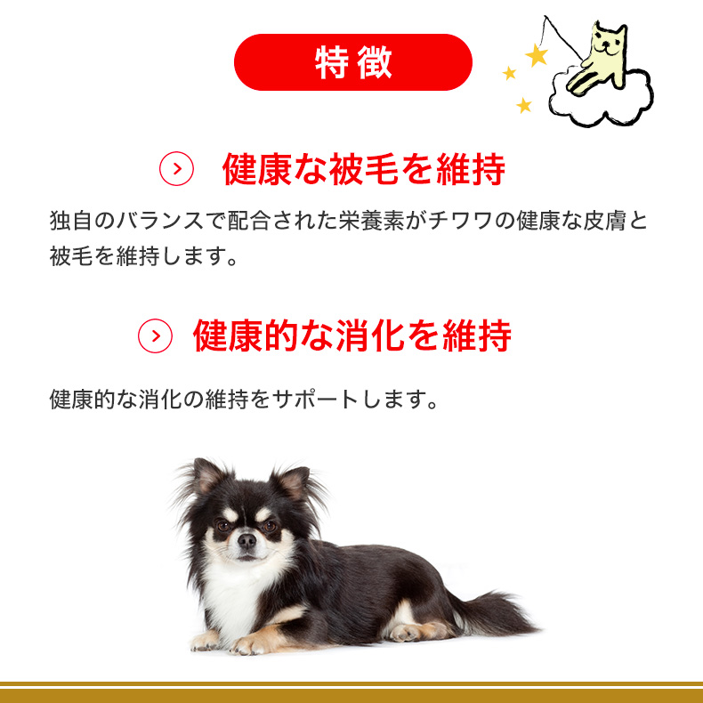 楽天市場】ロイヤルカナン チワワ 85g / チワワ成犬～高齢犬用(生後8 