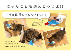 コスゲトイ着せ替えシリーズとうろもこしさかなサメ/コスゲオリジナルkoSuge/犬猫おもちゃぬいぐるみ人形可愛いおしゃれ#Stw-139616