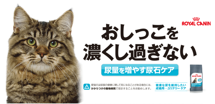 楽天市場】【あす楽】ロイヤルカナン ユリナリーケア 成猫用 【ドライ