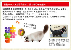 ロイヤルカナントライアルセットお試しセット9つの味成猫用/食べ比べ6種パウチ&3種ドライセット/インスティンクティブステアライズドウルトラライトユリナリーケアなど【KN_201603_03】【RC_DRY】【RC_WET】