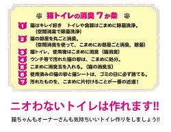 システムトイレ乗り換えセット2ヶ月分6,600円相当