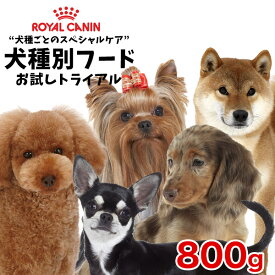 【最大400円クーポン有※要取得】ロイヤルカナン 犬種別シリーズ お試し800g / ダックスフンド チワワ プードル 柴犬 ヨークシャーテリア / 子犬 成犬 高齢犬 / お試しサイズ【RCA】[rev_c]