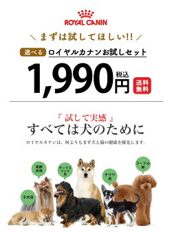 ヨークシャーテリア成犬・高齢犬用800g