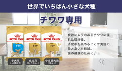 ロイヤルカナン犬種別シリーズお試し800g/ダックスフンドチワワプードル柴犬/子犬成犬高齢犬/お試しサイズ