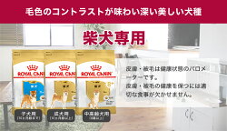 【あす楽】ロイヤルカナン犬種別シリーズお試し800g/ダックスフンドチワワプードル柴犬/子犬成犬高齢犬/お試しサイズ