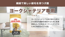 【あす楽】ロイヤルカナン犬種別シリーズお試し800g/ダックスフンドチワワプードル柴犬/子犬成犬高齢犬/お試しサイズ