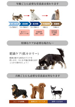 ロイヤルカナン犬種別シリーズお試し800g/ダックスフンドチワワプードル柴犬/子犬成犬高齢犬/お試しサイズ