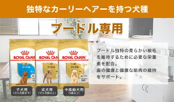 ロイヤルカナン犬種別シリーズお試し800g/ダックスフンドチワワプードル柴犬/子犬成犬高齢犬/お試しサイズ