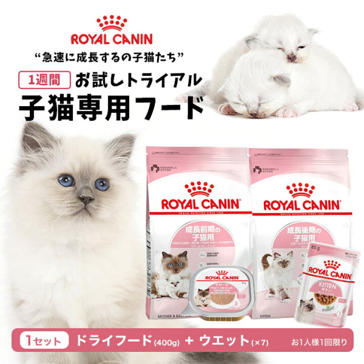楽天市場】【LINE登録で500円クーポン！】ロイヤルカナン 子猫用 お  