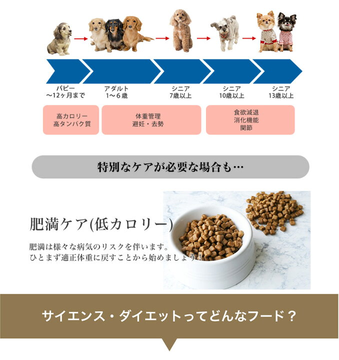 楽天市場 サイエンスダイエット 小型犬用シリーズ チキン お試し750g ウェットセット ダックスフンド チワワ プードル ヨークシャーテリア 子犬 成犬 高齢犬 老齢犬 お試しサイズ ドッグフード ドライ 主食 総合栄養食 缶詰め パウチ Rev C モコペット