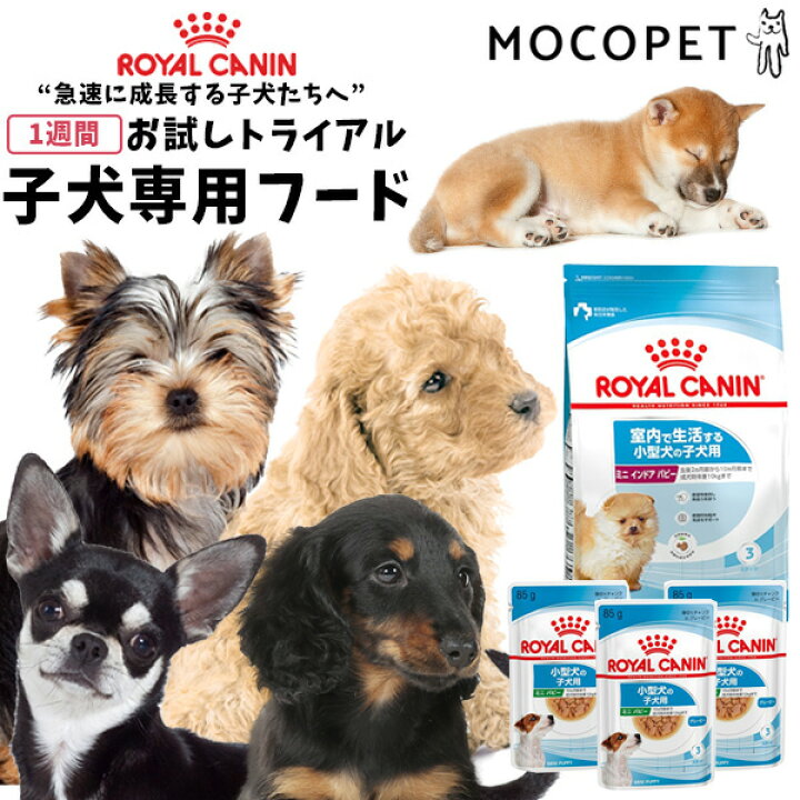 楽天市場 あす楽 ロイヤルカナン 子犬シリーズ お試し トライアルサイズ 生後2ヶ月齢 成長期後期 から パピー 超小型犬 小型犬 中型犬 エクストラスモール ミニインドア プードル チワワ ミニチュアダックスフンド 柴犬 ヨークシャーテリア トイプードル フレブル