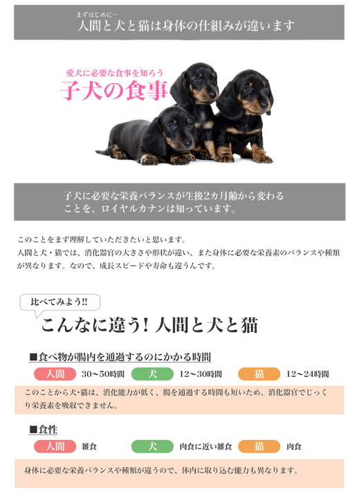 楽天市場 あす楽 ロイヤルカナン 子犬シリーズ お試し トライアルサイズ 生後2ヶ月齢 成長期後期 から パピー 超小型犬 小型犬 中型犬 エクストラスモール ミニインドア プードル チワワ ミニチュアダックスフンド 柴犬 ヨークシャーテリア トイプードル フレブル 楽天市場 あす楽 ロイヤルカナン 子犬シリーズ お試し トライアルサイズ 生後2ヶ月齢 成長期後期 から パピー 超小型犬 小型犬 中型犬 エクストラスモール ミニインドア プードル チワワ ミニチュアダックスフンド 柴犬 ヨークシャーテリア トイプードル フレブル