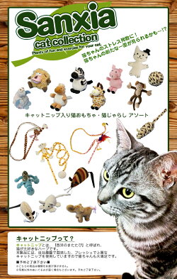 ネコのおもちゃ・猫じゃらし1個アソート#w-139981-00-00
