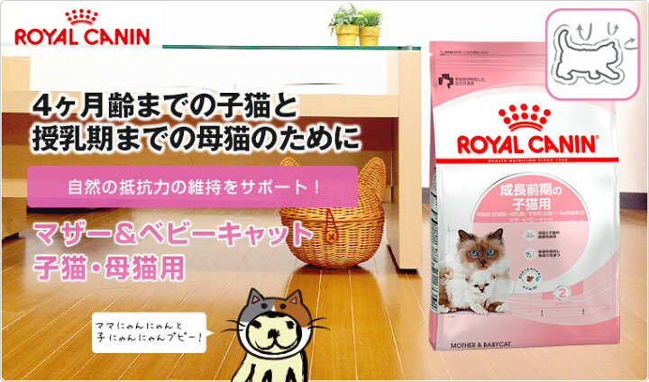 楽天市場 あす楽 ロイヤルカナン マザー ベビーキャット 400g 成長前期の子猫用 母猫用 妊娠期 授乳期 子猫用 生後1 4ヵ月齢まで Fhn 猫 ドライフード ジッパー無し W 00 00 モコペット