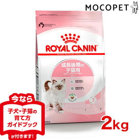 楽天市場 ロイヤルカナン 猫の通販
