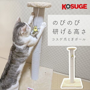 yLINEǉ500~OFFIz[RXQIWi]KOSUGE ORIGINAL RXQ܂Ƃ|[ RXQt lRp O^Cv 80cm / zCg  Lp|[^ ܌|[ ˂p u^C