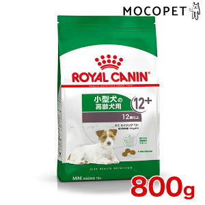 yAEgbgzyLINEǉ500~OFFIzCJi ~j GCWO 12+ 800g / ^ȉd1`10kgjpi12Έȏj / SHN  hCt[h Wbp[L #w-113811-00-00