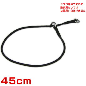 楽天市場 犬 リード ドッグショーの通販