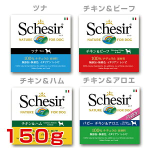 yLINEǉ500~OFFIz[VVA]Schesir hbO 150g /`Ln `Lr[t ci ps[`LAG / p