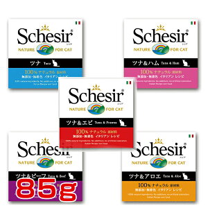 yLINEǉ500~OFFIz[VVA]Schesir Lbg 85g / `L `Ln ci`LCX cir[tCX ci ciAG ciGr cin cir[t T[