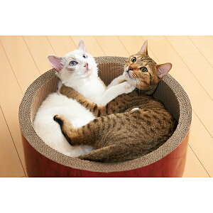 GCNGCc yNEWz ~[ mju: KK T[N XNb`[ rbO 4540013503762 #w-138741