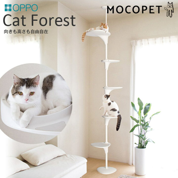 楽天市場 Oppo オッポ Catforest ホワイト おしゃれ キャットタワー 突っ張り スリム 省スペース シンプルな猫タワー モダン W 大型商品のため同梱不可 Rc24 モコペット