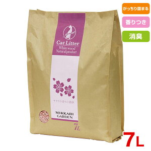 yLINEǉ200~OFFIzAhCg [Add.Mate] OK[fTN̍̔L ؁EVRf 7L 4562483670034 #w-146155yz