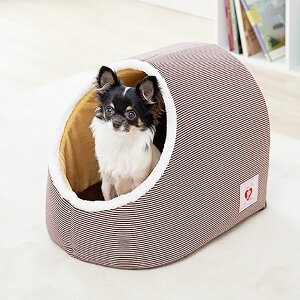Tshop R10s Jp 1096dog Cabinet W 146 W 00