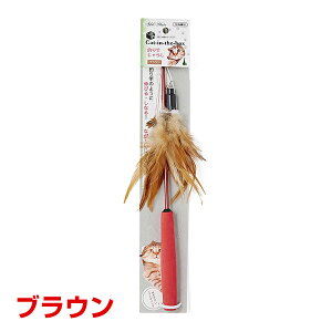 �yLINE�ǉ���500�~OFF�I�z[�y�e�B�I]Petio cat in the box �ފƂ���炵 �u���E�� 4903588251993 #w-146581