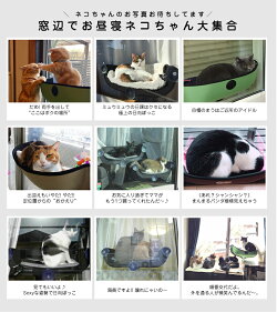 【あす楽】『安心の正規品』EZMountWindowPodイージーマウントウィンドウポッド/タン(ベージュ)グリーン06551990918290655199091812/猫用窓貼付けベッドハンモック強力吸盤#w-149241