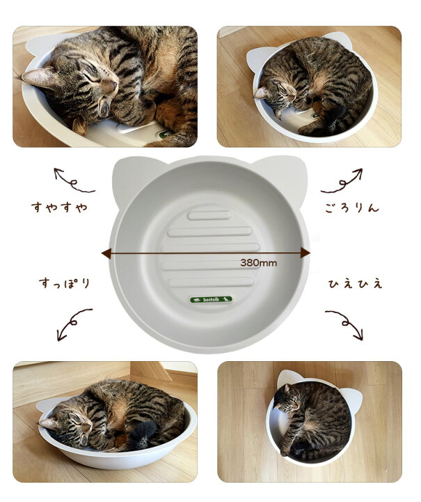 楽天市場 クールキャット 猫たらい ひんやりクール猫鍋 アルミ鍋 暑さ対策 ひんやり 冷え冷え ボストーク W クールベッド Rc24 モコペット