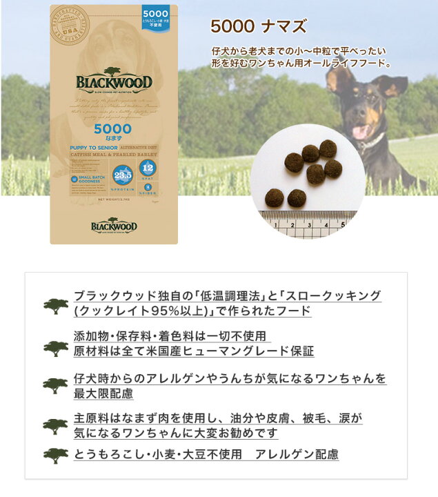 楽天市場】［ブラックウッド］BLACKWOOD 5000 なまず 980g 小〜中粒 