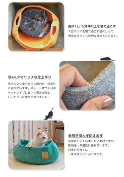 ライフエーピーピーキャットバスケットボウルキャロットオレンジ4897057086295#w-153027-00-01