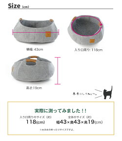 ライフエーピーピーキャットバスケットボウルキャロットオレンジ4897057086295#w-153027-00-01