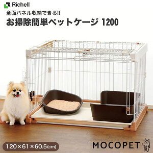 yLINEǉ200~OFFIzb`F[Richell] |ȒPybgP[W 1200 120cm×61cm 4973655563717 / ^`^p A_[g[Ɖʕt LX^[t / |ȒP pP[W Q[W T